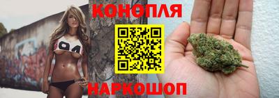 МДПВ Лесосибирск